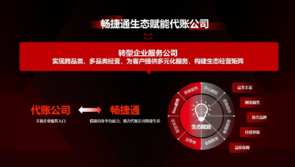 AI引領(lǐng)代理記賬革新,助推代賬企業(yè)實(shí)現(xiàn)效能躍遷