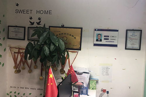 鄭州管城區代賬公司排名,先創財稅公司在哪